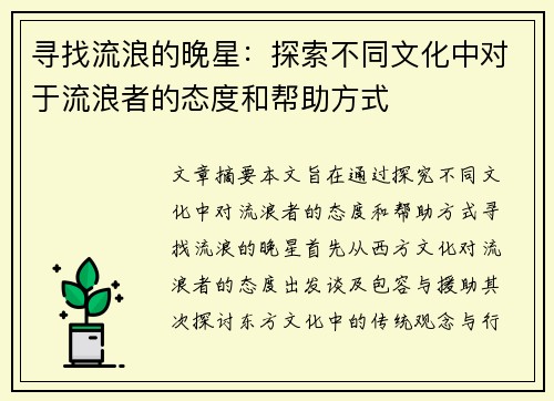 寻找流浪的晚星：探索不同文化中对于流浪者的态度和帮助方式
